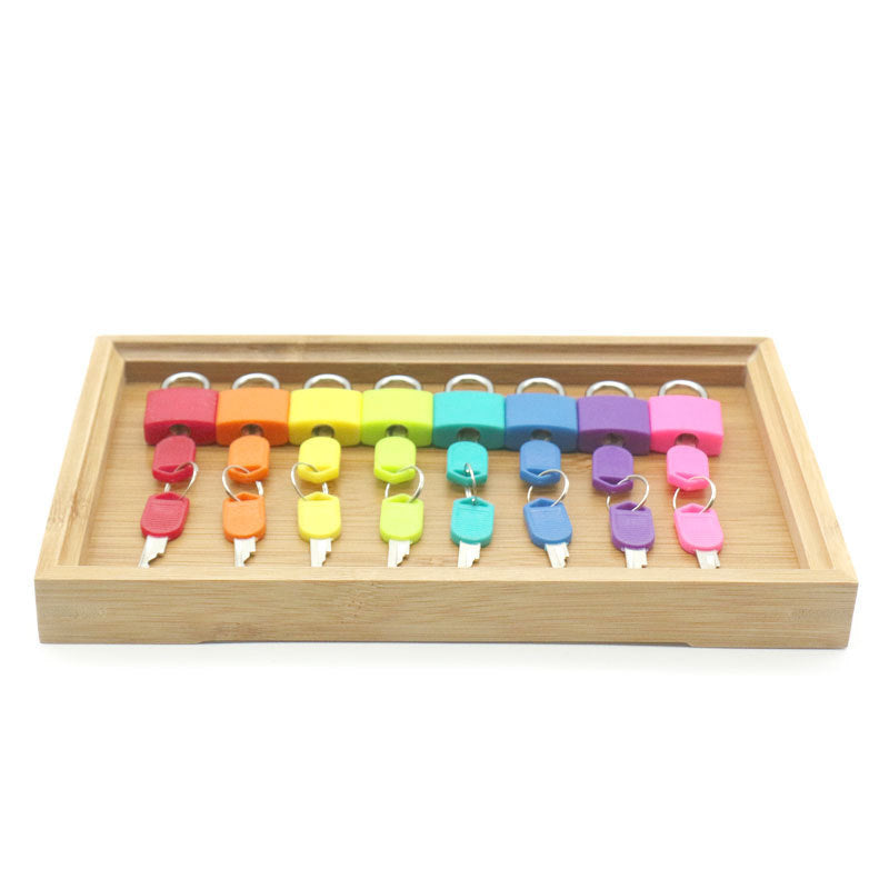 Montessori Aids Lock Picking Practice Game