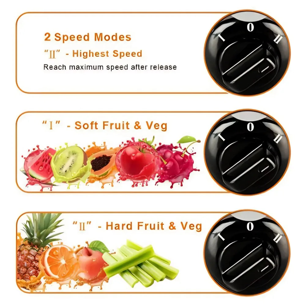 IMESA Juicer Household Multifunctional Juice Residue Separation Stainless Steel Automatic Fruit And Vegetable Squeezer