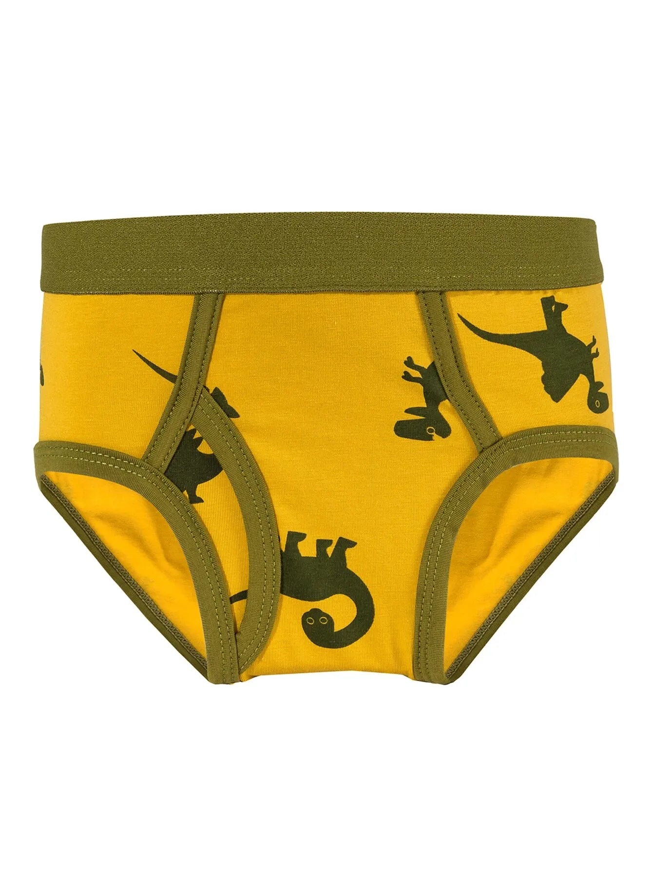 Boy's 2-Pack Triangle Dinosaur Camouflage Underwear