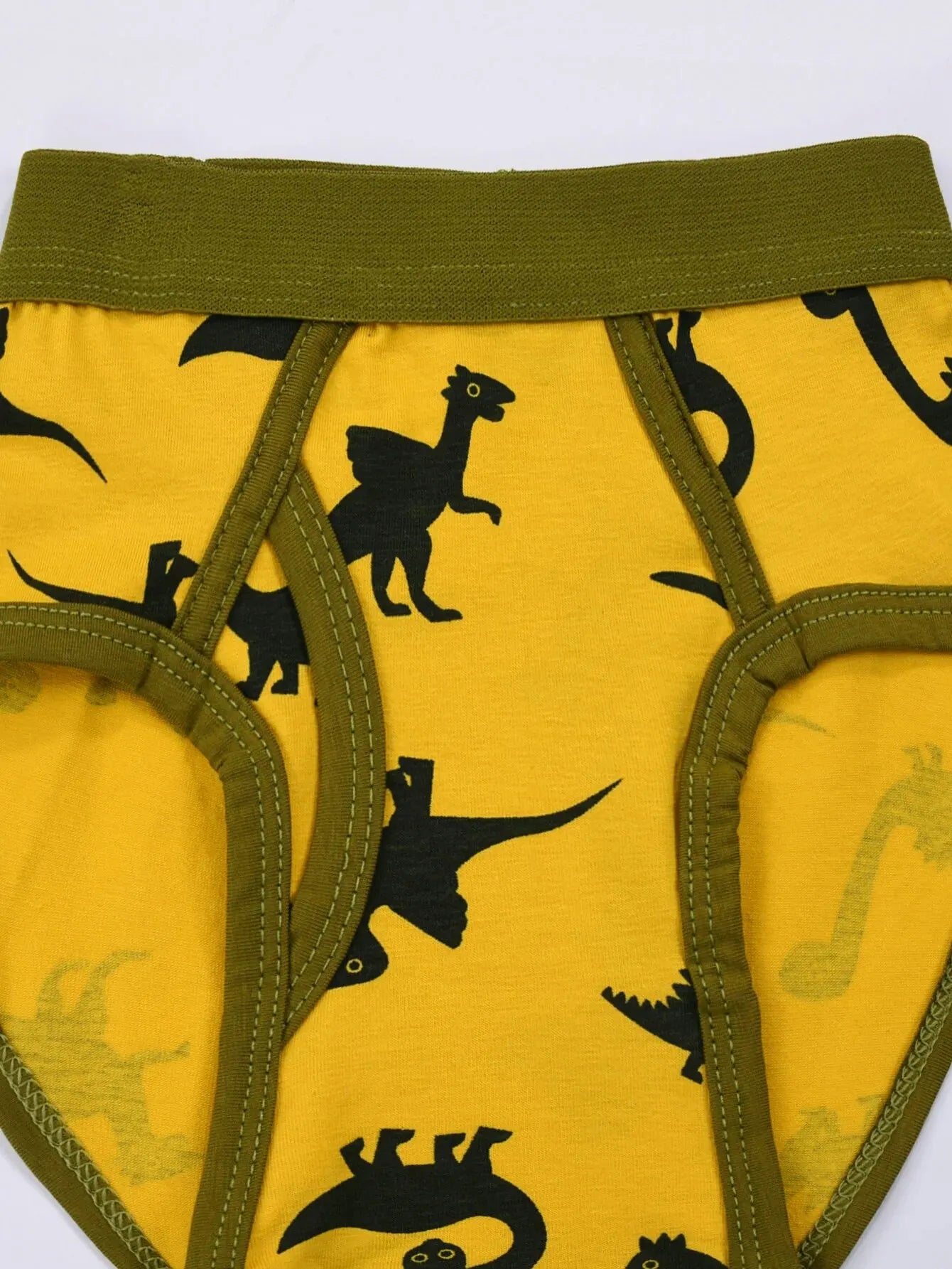Boy's 2-Pack Triangle Dinosaur Camouflage Underwear