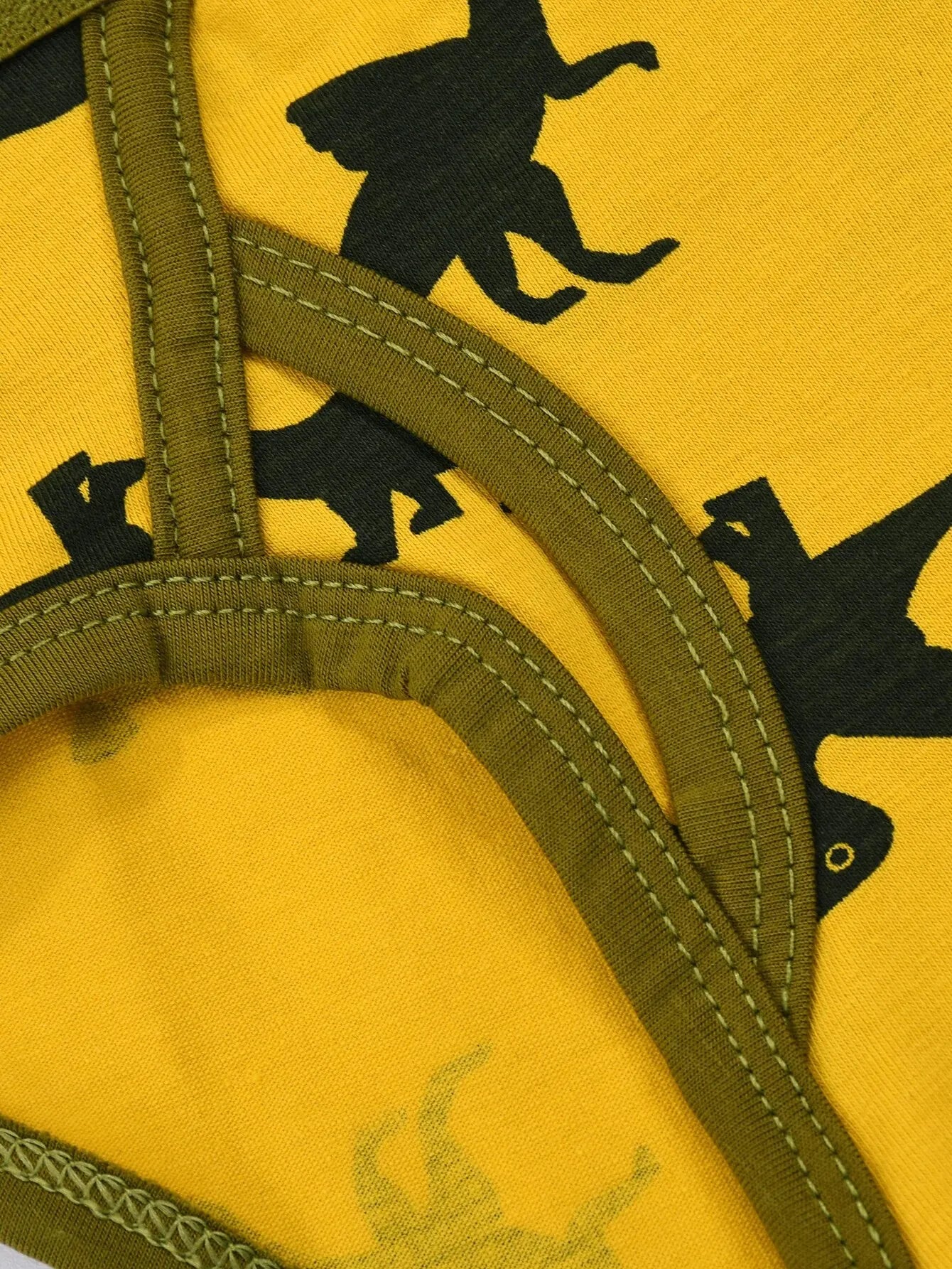 Boy's 2-Pack Triangle Dinosaur Camouflage Underwear