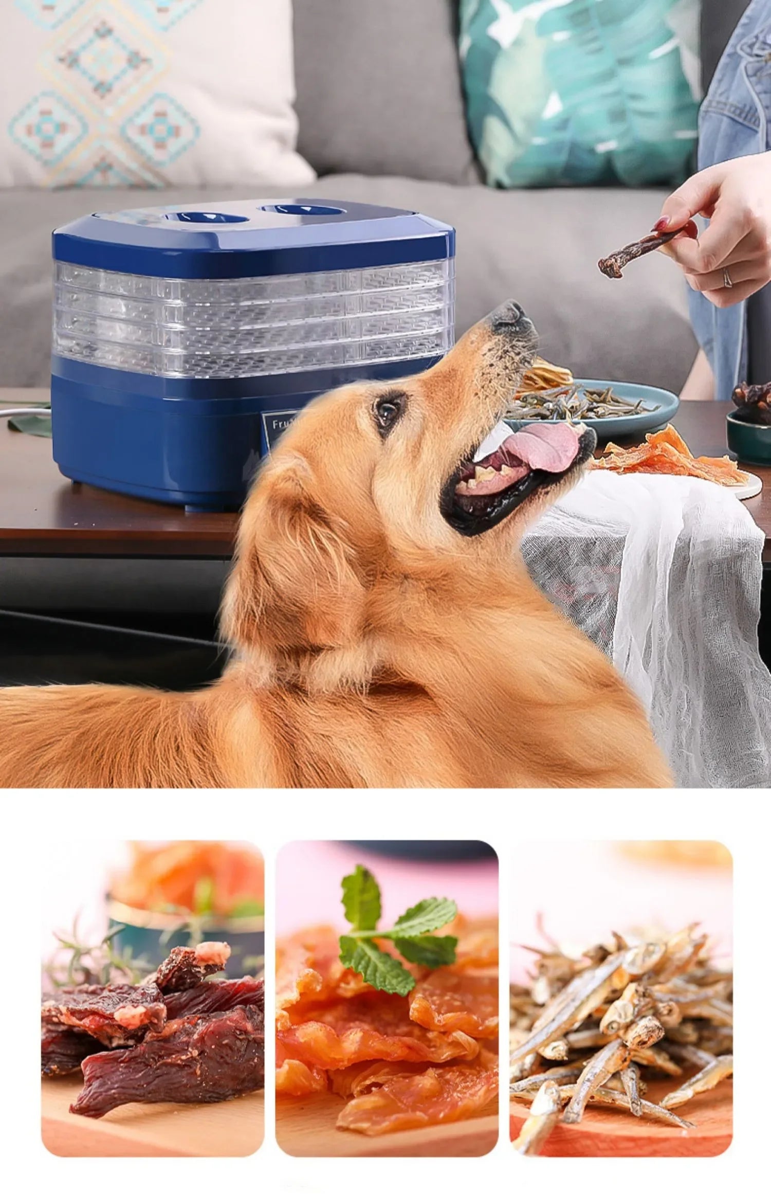 SUSWEETLIFE 5-layer Dried Fruits Food Dryers Fruits Vegetables Pets, Meat Food Drying Machines Small Household Dehydrators