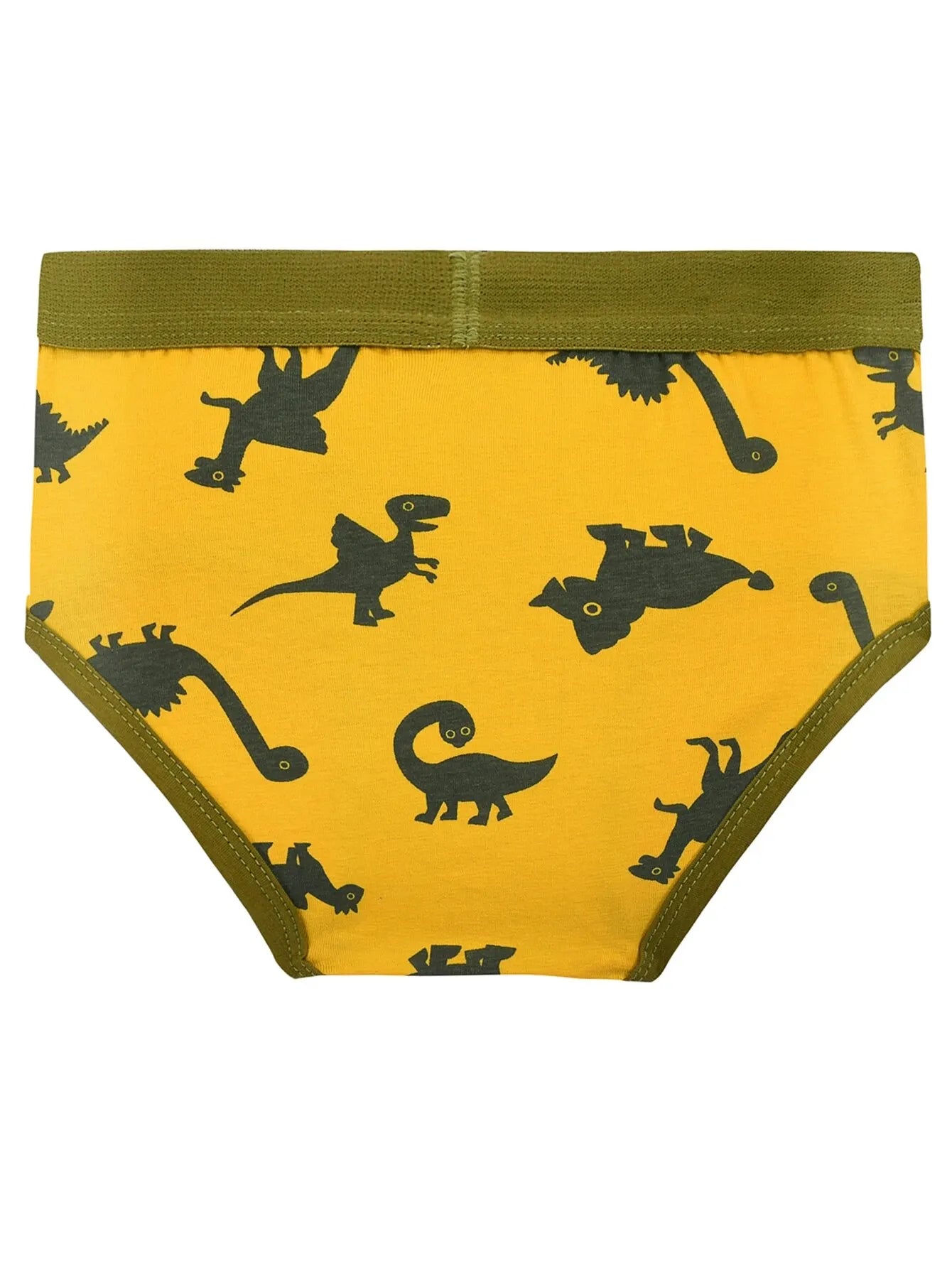 Boy's 2-Pack Triangle Dinosaur Camouflage Underwear
